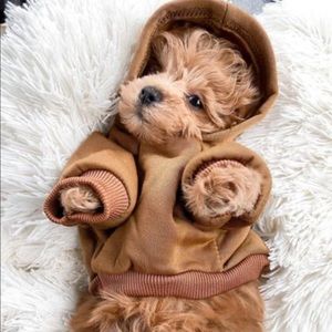| furbaby love: classic coffee dog sweatshirt hoodie |